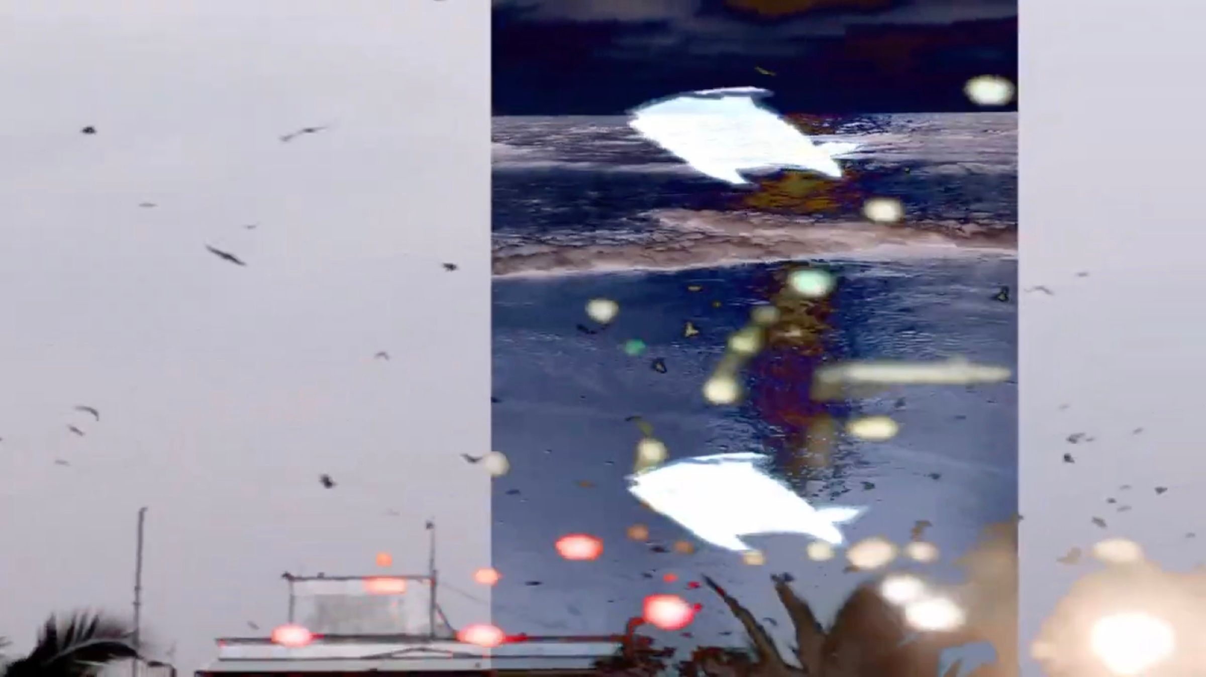 Repeated white fish, seabirds and floating lights layered over dark ocean footage.